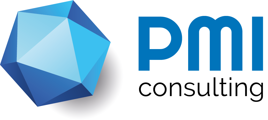 PMI Consulting